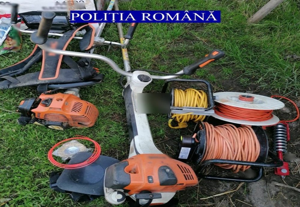 Hoț de găini și motofierăstraie, prins de polițiști