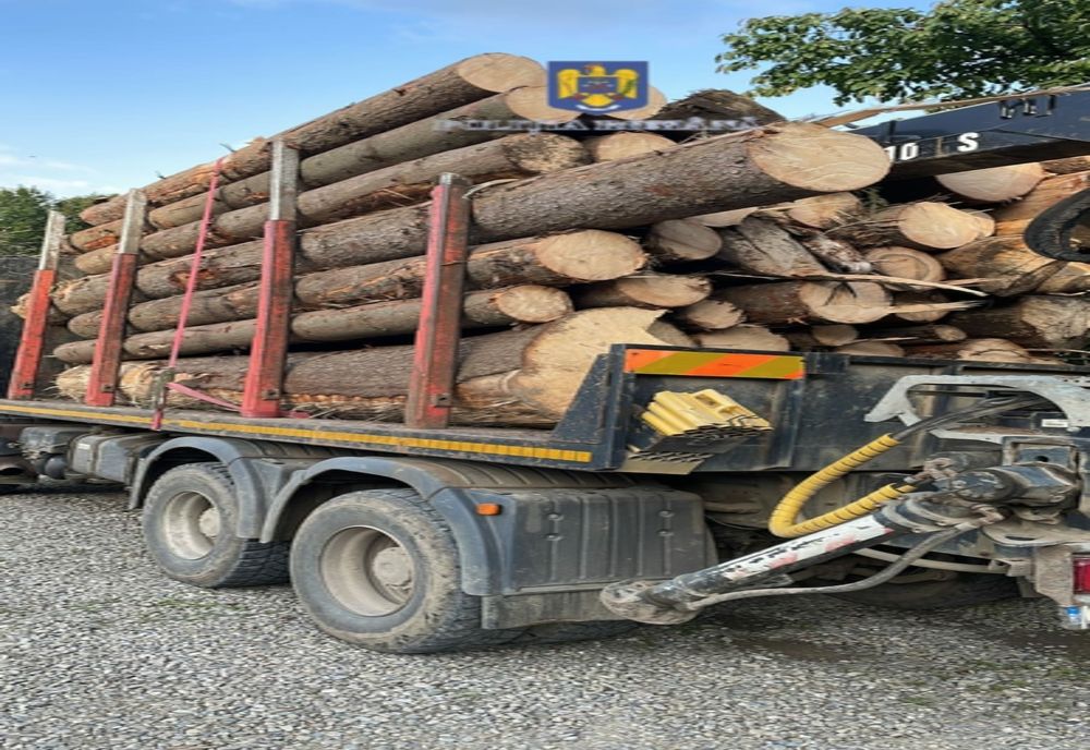 Autocamion și material lemnos confiscate de pe raza comunei Ghimeș-Făget! Șoferul din Harghita are acum dosar penal