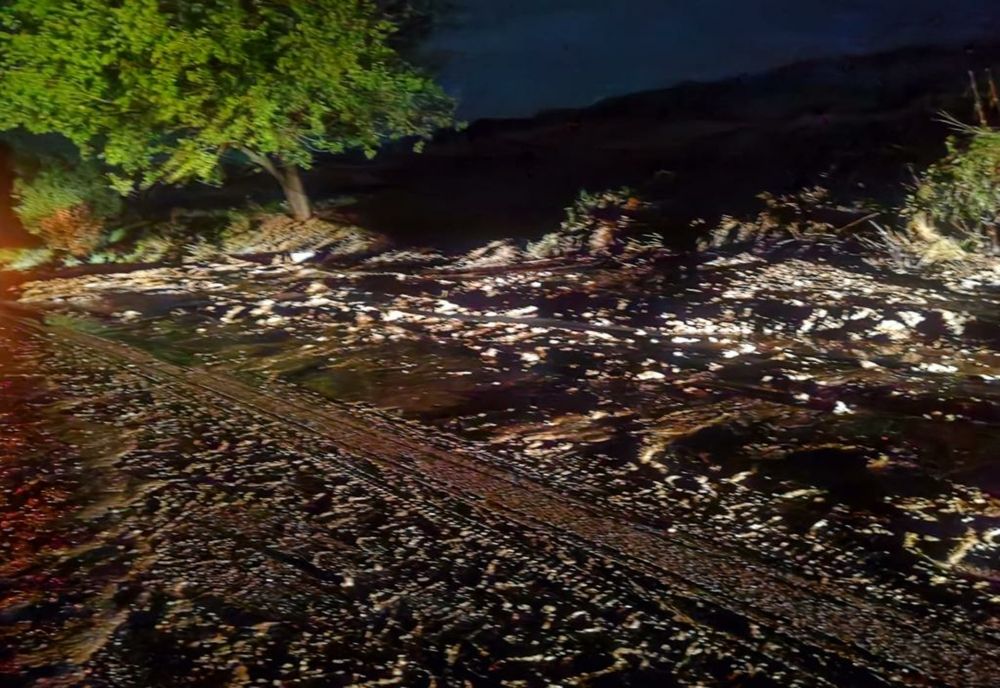 Efectele furtunii în județul Bacău: copaci căzuți, aluviuni pe carosabil