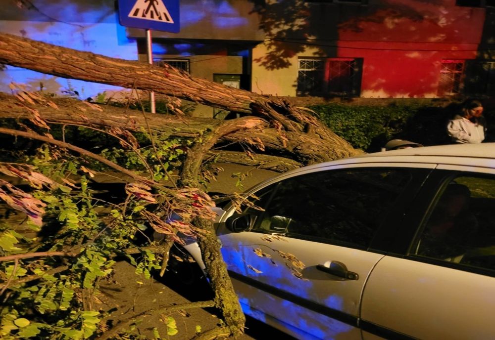 Arbori căzuți din cauza furtunii! Au intervenit pompierii