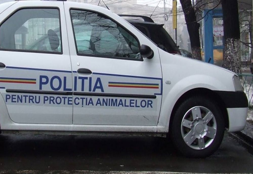 Cercetat penal pentru rănirea cu intenție a animalelor