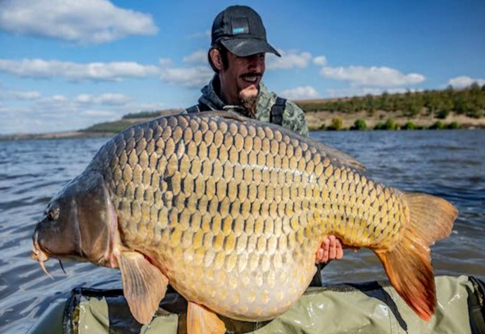  „Monstru” de peste 30 de kilograme, prins într-un lac din Bacău