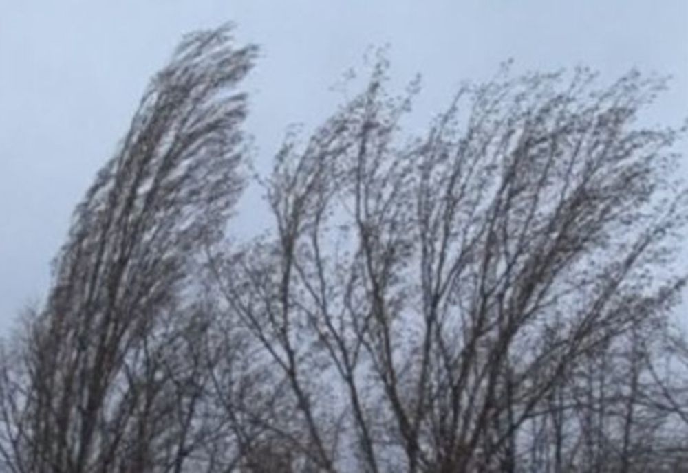 Avertizare meteo imediată în Bacău. Cod GALBEN