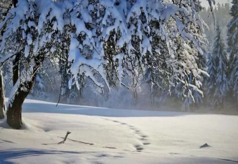  18 judeţe din țară sub imperiul zăpezilor. Unde va ninge