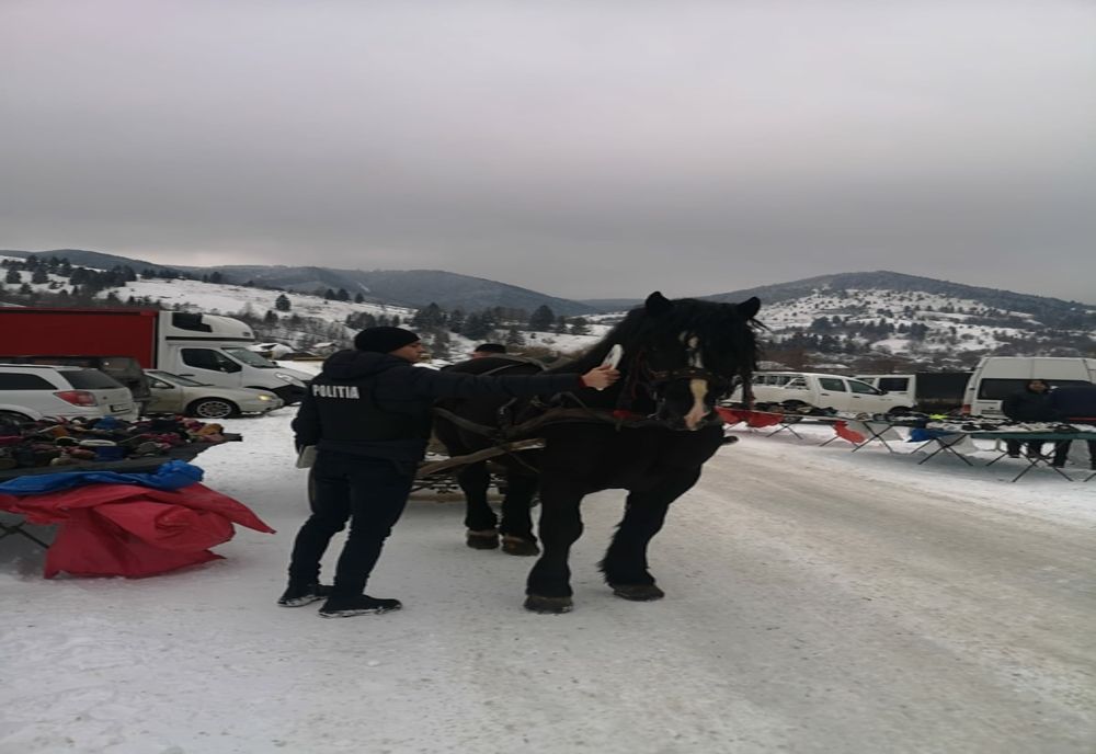 Căruțași și persoane care au cumpărat cai, amendați