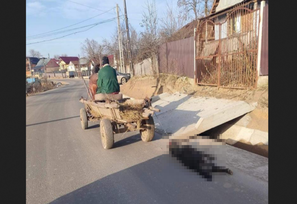 Cruzime fără margini: a bătut un câine și l-a târât din urma căruței până l-a omorât