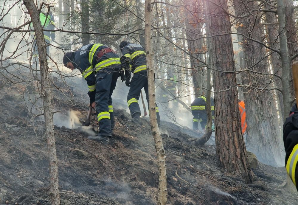 Incendiul de la Ocolul Silvic Privat Oituz este localizat