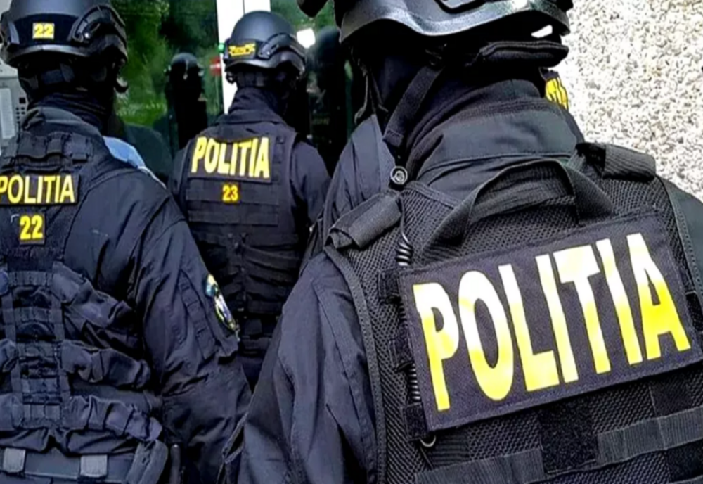 Perchezitii la persoane care au tăiat ilegal arbori