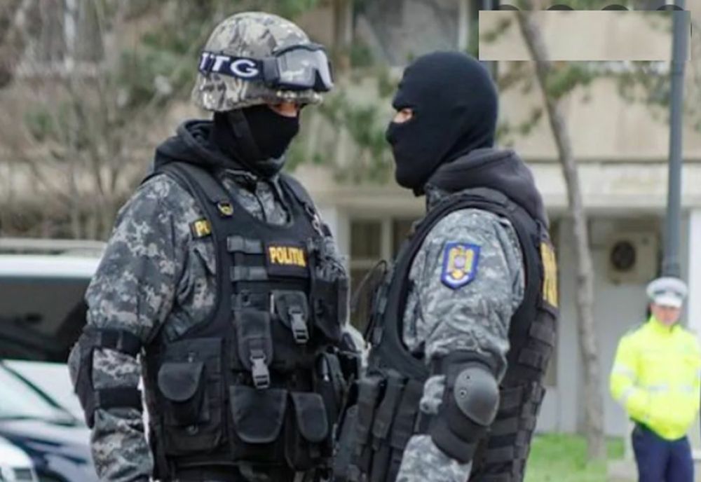 Percheziții domiciliare la bănuiți de tăiere ilegală și furt de arbori 