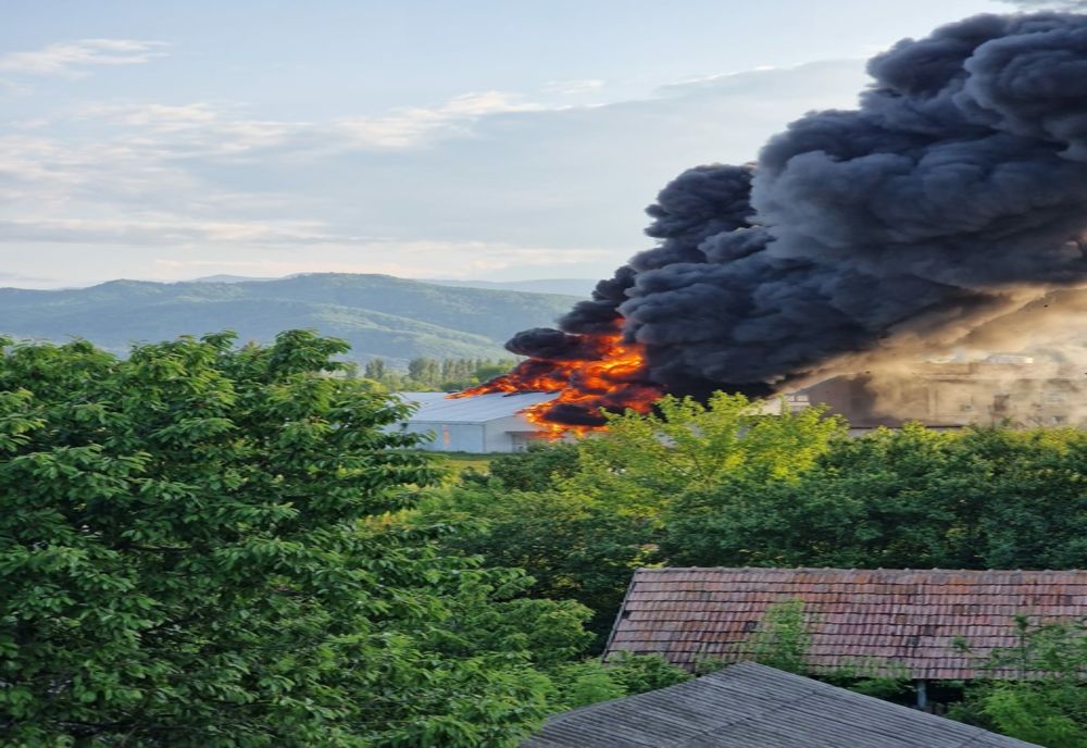 Un cort de evenimente din Bacău s-a făcut scrum