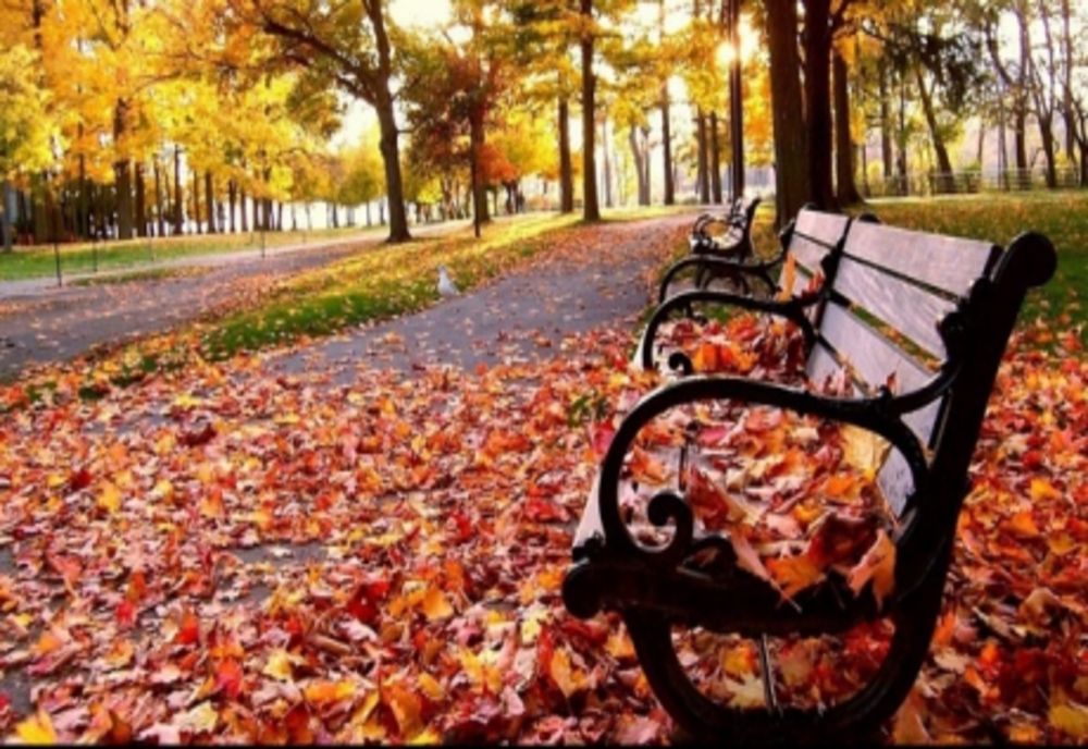 Vremea 12 septembrie. Maxime de până la 33 de grade Celsius