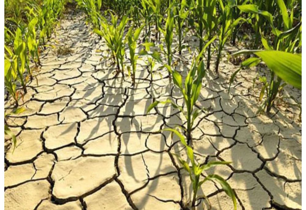 O treime din teritoriul României şi 40% din suprafaţa agricolă se află în zone care prezintă risc de deşertificare