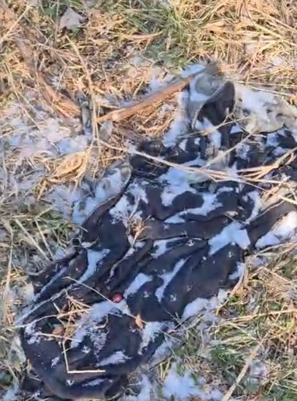 Craniu uman și fragmente osoase descoperite pe un teren extravilan din Gura Văii. Dosar penal deschis