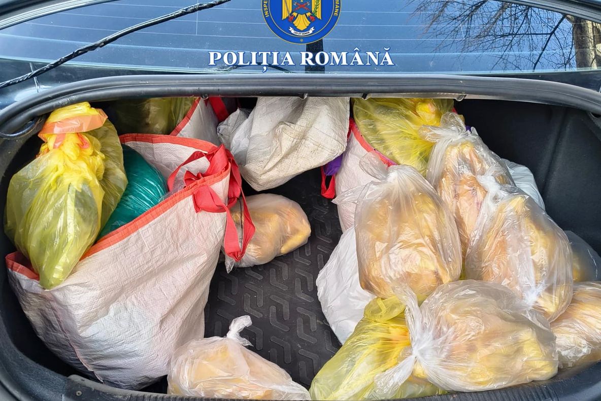 Comănești: Două bătrâne păcălite, autorii prinși în mai puțin de două ore