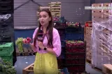 Producătorii avertizează: România riscă un deficit agricol