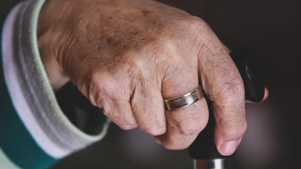 Pensionarii din România