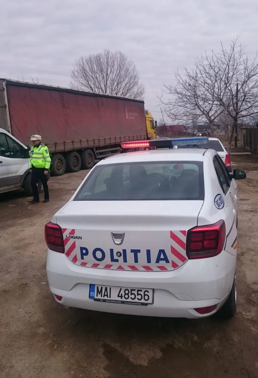 foto truck and bus