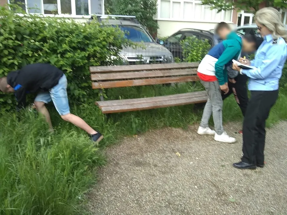 seminte6