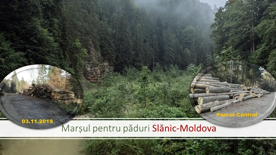 mars paduri