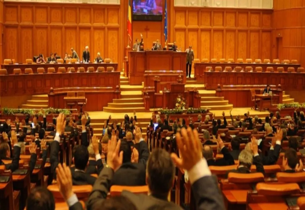 Cine vor fi viitorii deputați și senatori de Bacău