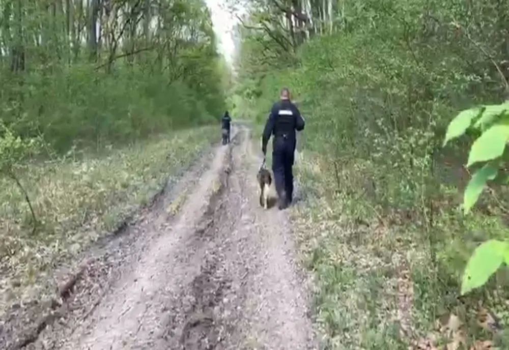 Minor dispărut, găsit de echipele de căutare