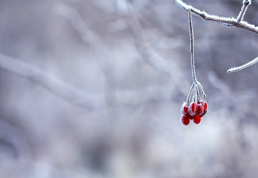 Vremea 20 ianuarie - Temperaturile, în ușoară creștere - Unde va mai ninge
