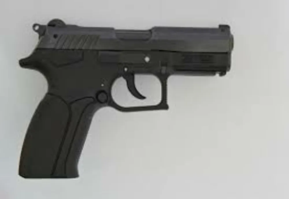 Armă ridicată de polițiști pentru cercetări! De unde era adus pistolul