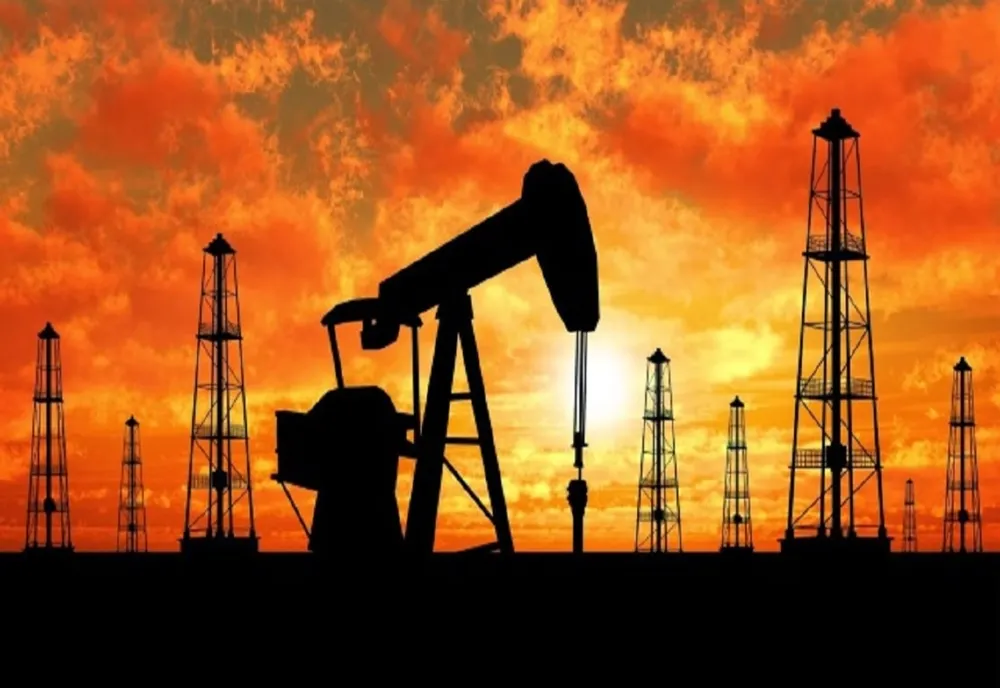 Doi hoți au furat gardurile cu totul din jurul a două sonde petroliere