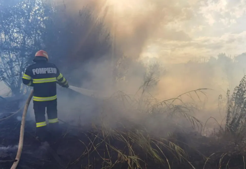 Incendiu de vegetație, pus intenționat, stins de pompierii băcăuani