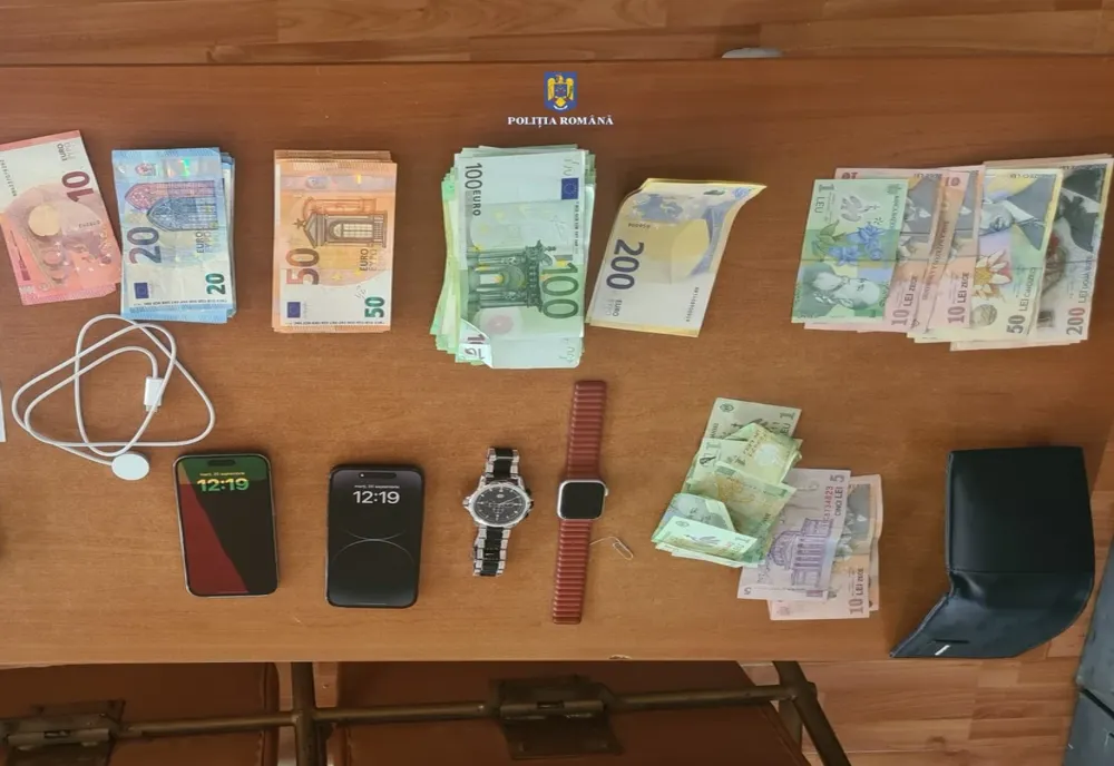 Ca-n filmele cu proști: doi tineri au dat o spargere în Austria, însă s-au dat de gol în România. Cu câți bani umblau după ei