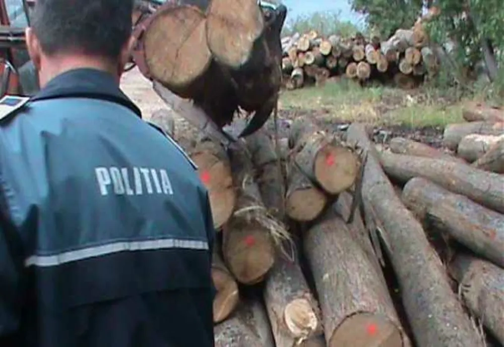 Lupul paznic la oi: a vândut lemne din pădurea pe care trebuia s-o păzească