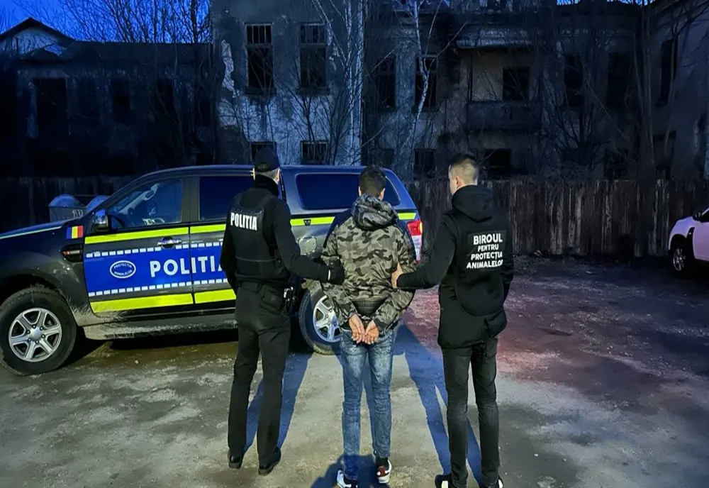 Un tânăr din Agăș a ajuns în arest după ce a chinuit un mânz până l-a omorât