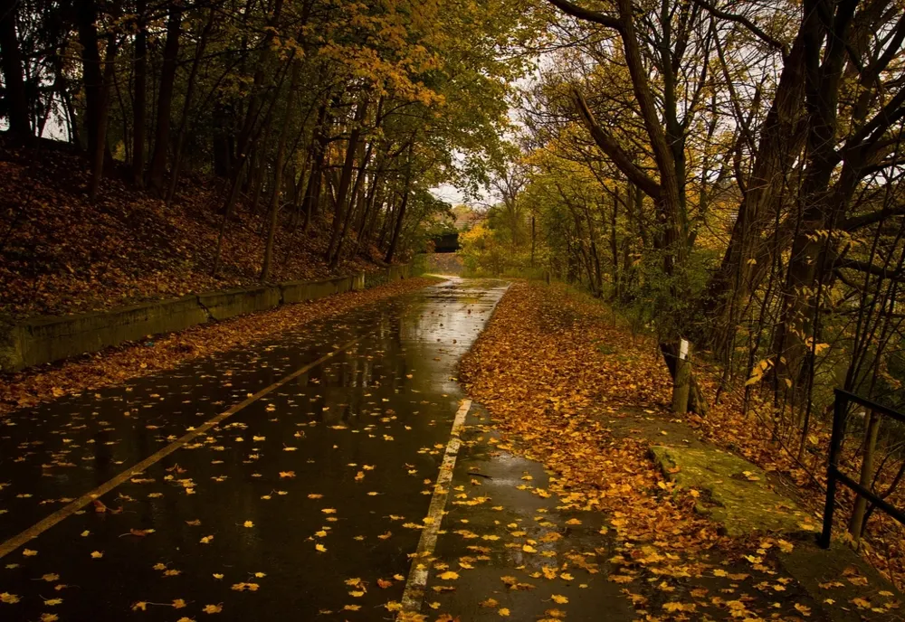 VREMEA 29 SEPTEMBRIE. TEMPERATURI ÎN SCĂDERE ÎN MAJORITATEA REGIUNILOR