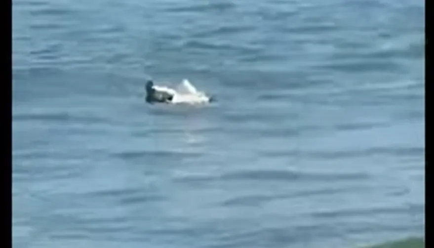 Bucată de dronă găsită în mare, la Mamaia,