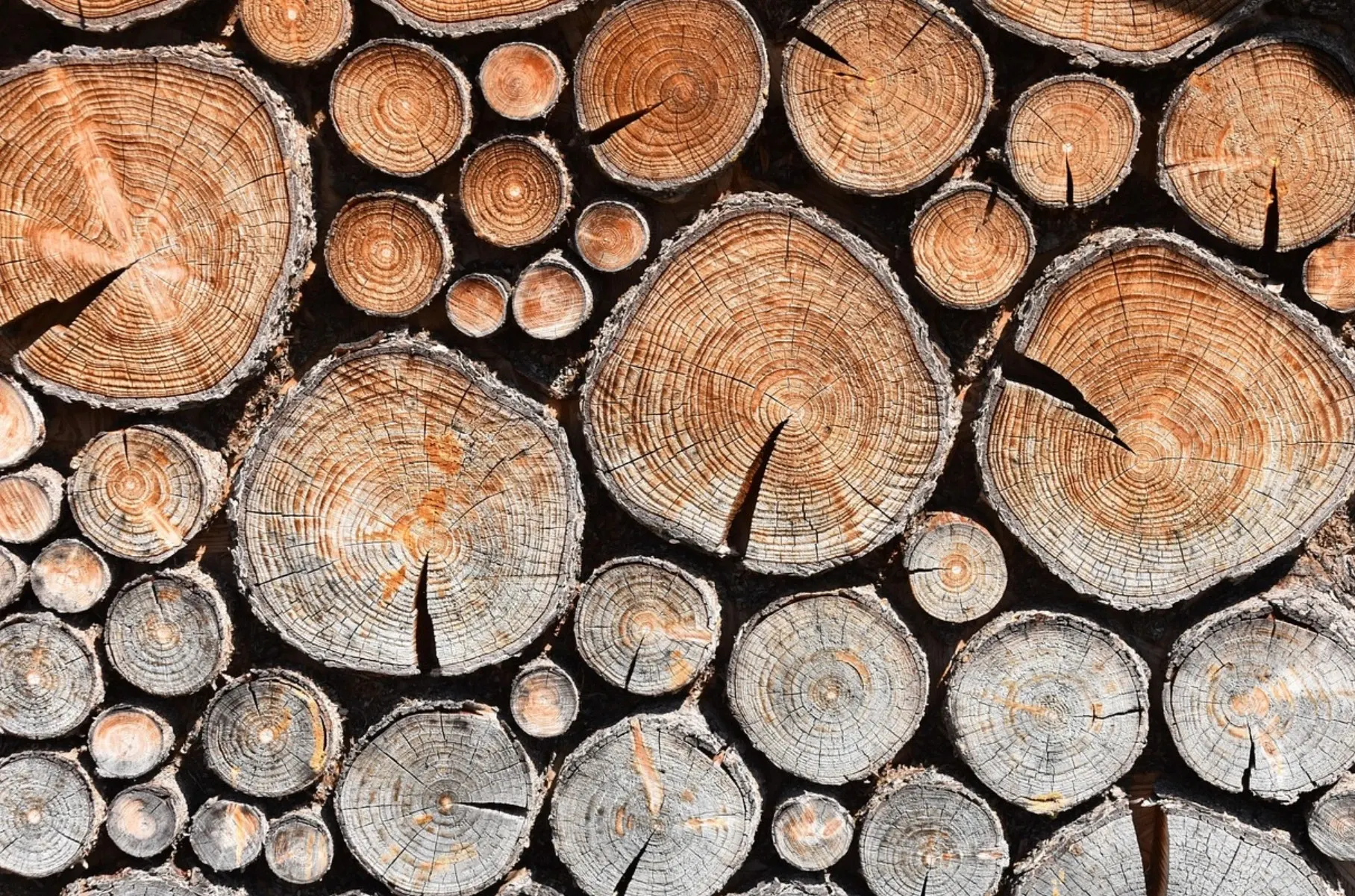 FOTO: Pixabay.com
