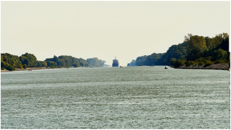 FOTO: Arhivă 