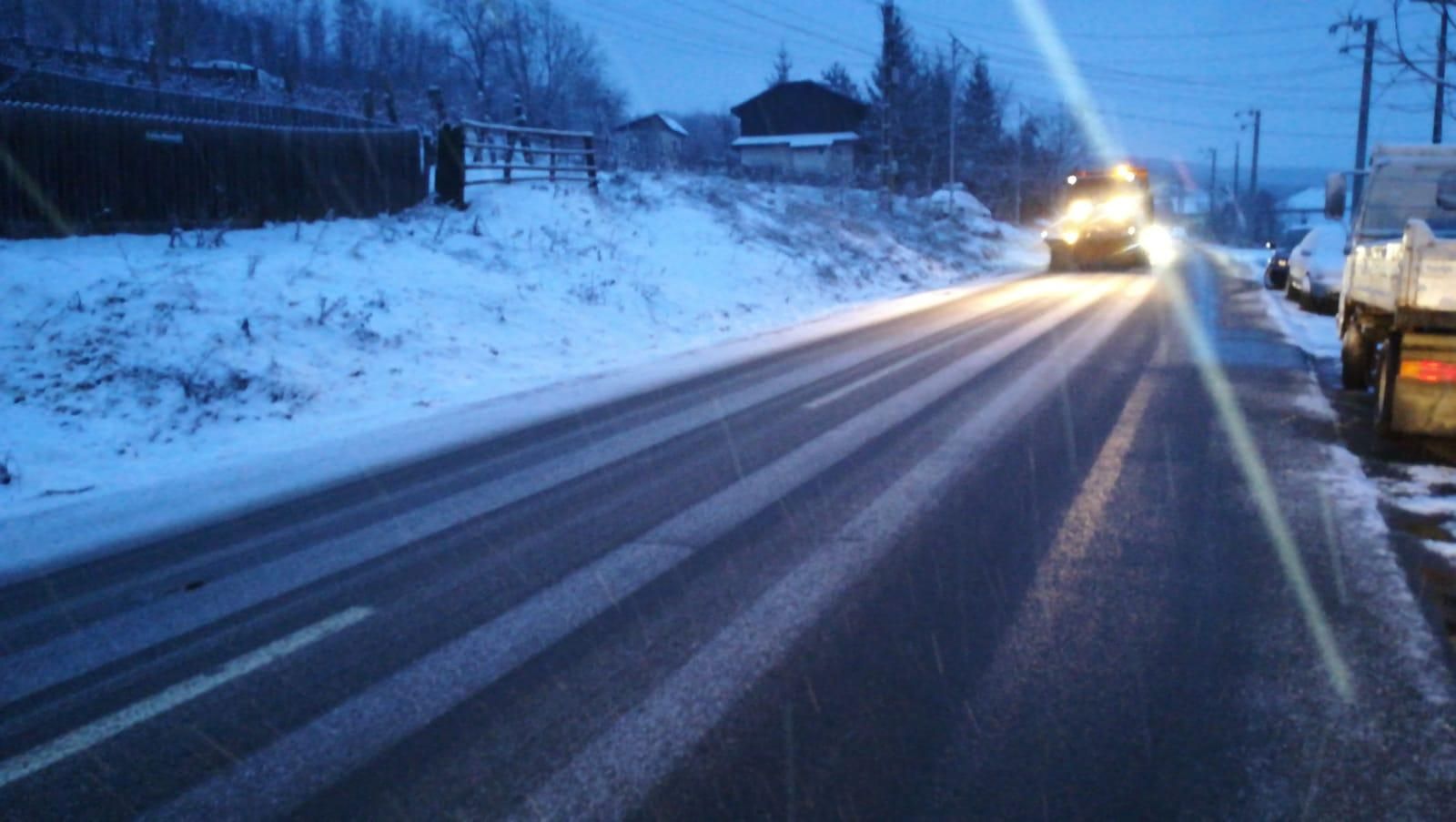 49535950_748446418870583_6751771915972509696_o