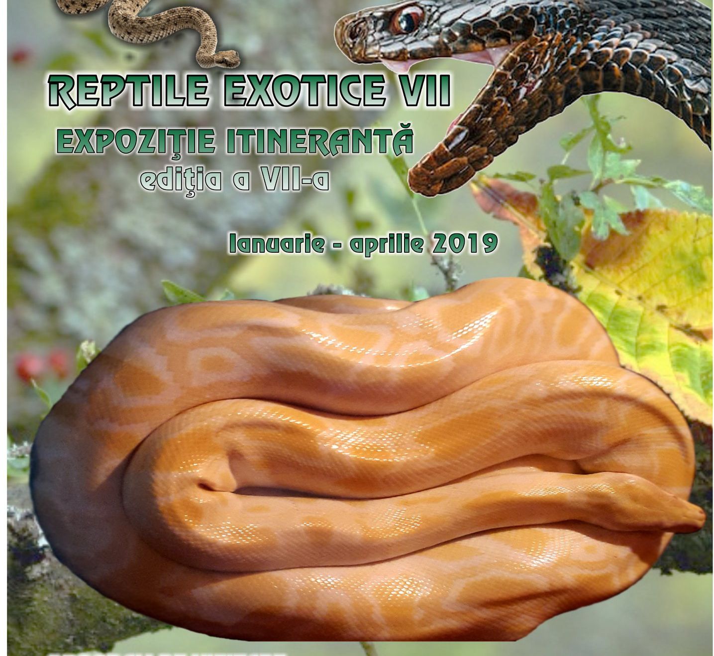 49658078_978513739022564_5518440725139685376_o