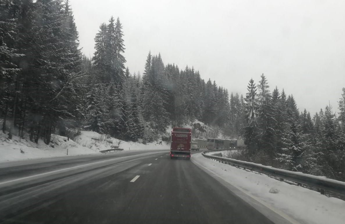 49896926_750120548703170_6705628402251988992_o