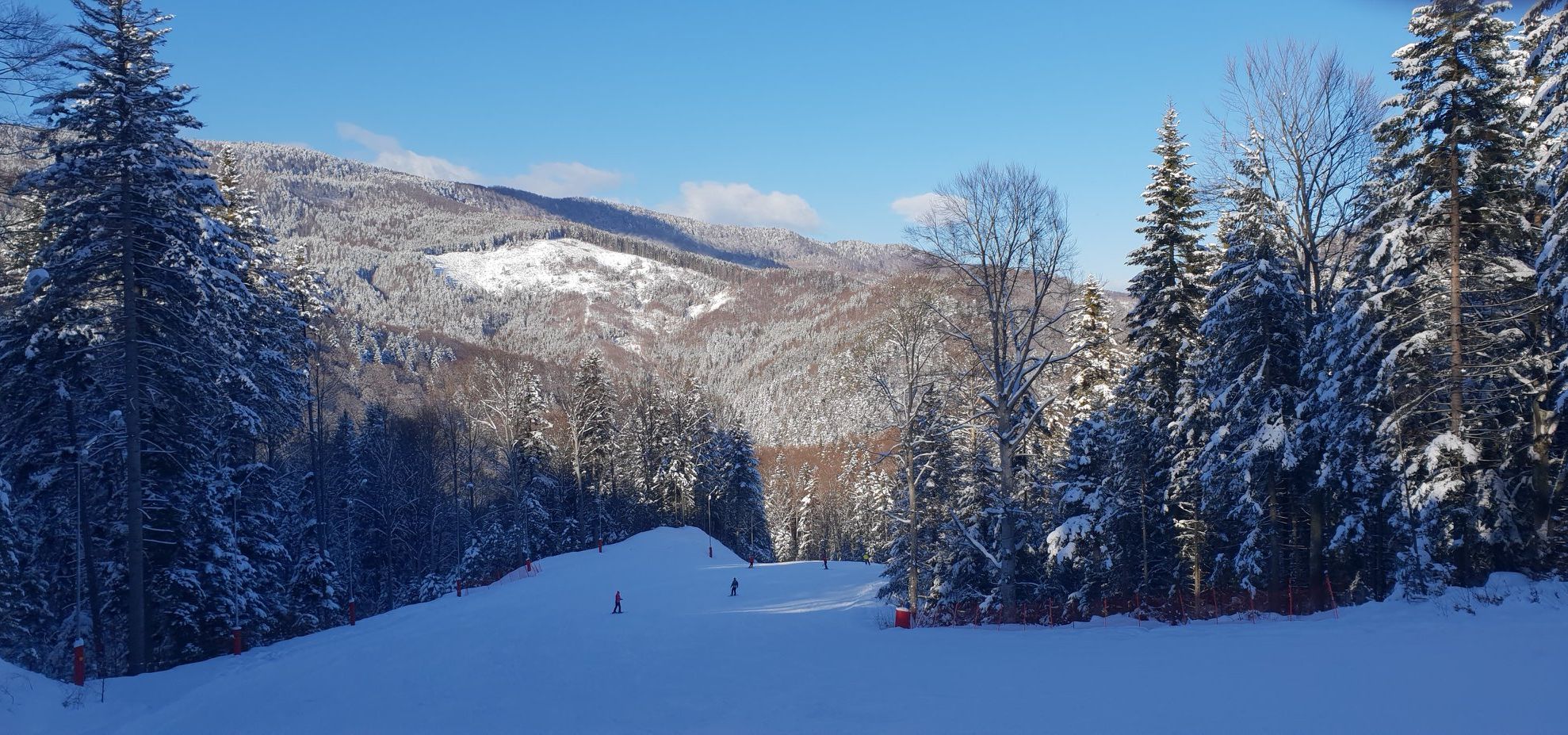 50007527_2297516166948515_9153038262300835840_o