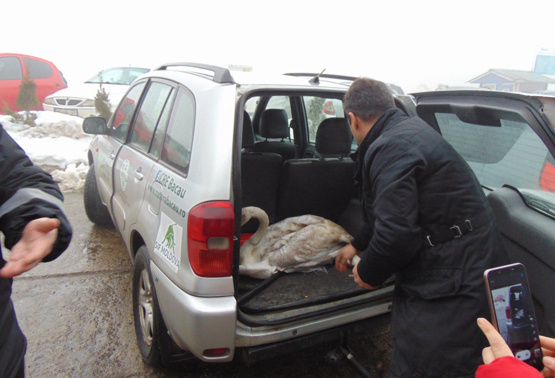 51041719_954401351616095_2152071282957484032_o