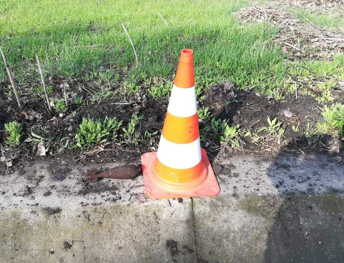 FB_IMG_1554798001775