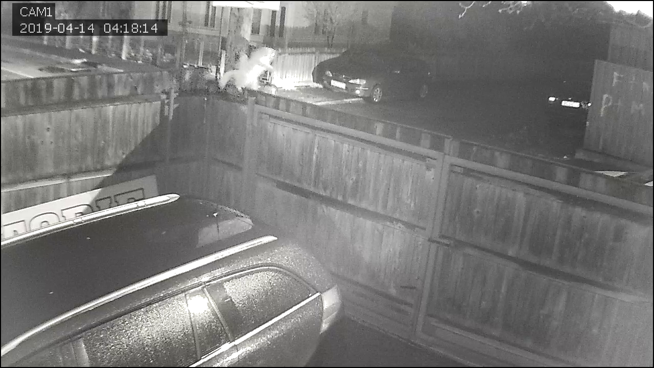 vlcsnap-2019-04-23-08h24m30s060