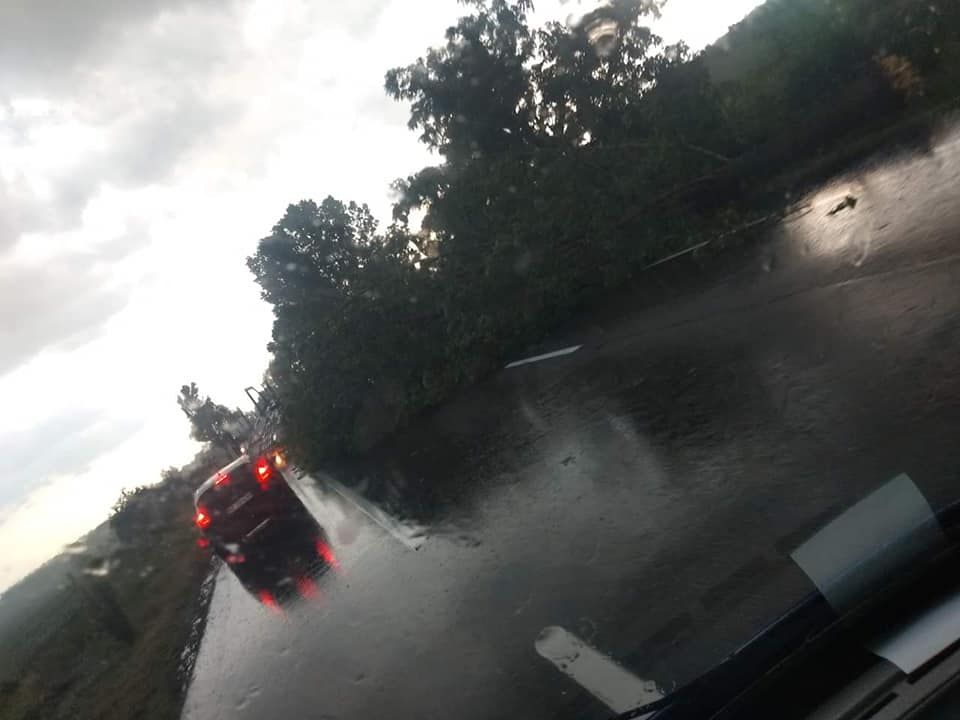 65178201_2227475300664114_2874365326219280384_n