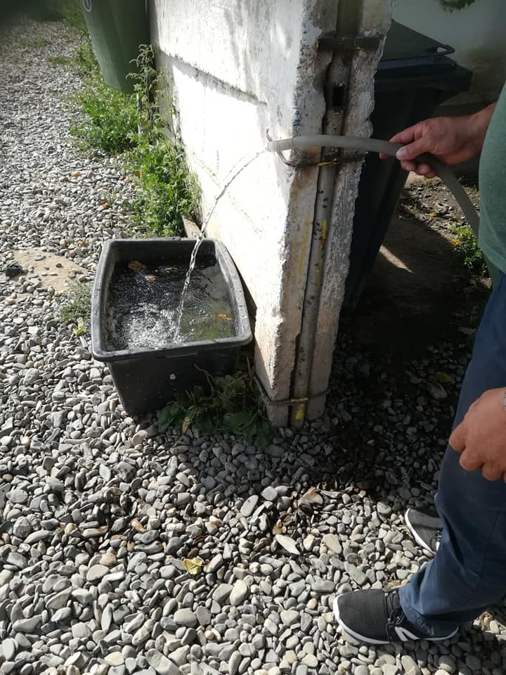 rezerva de apa caini 3