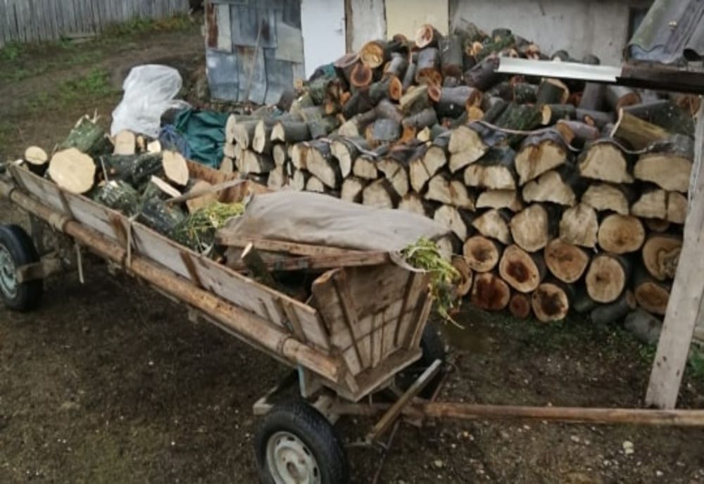 Percheziții de la hoții de lemne. Polițiștii au descoperit zeci de metri cubi de lemn din diverse specii