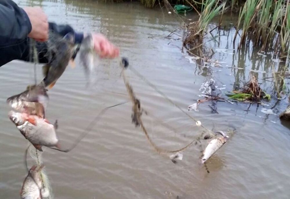 Percheziții la braconierii din Horgești! Polițiștii au ridicat 1 km de plase de pescuit