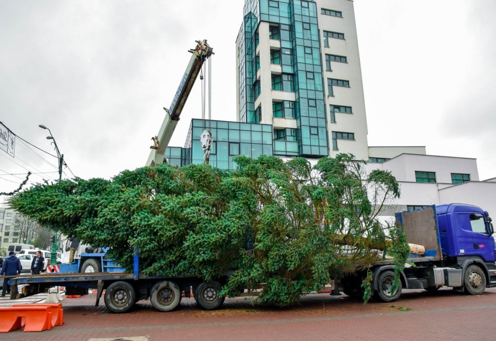 FOTO – VIDEO: Bradul de Crăciun a fost instalat deja la Onești