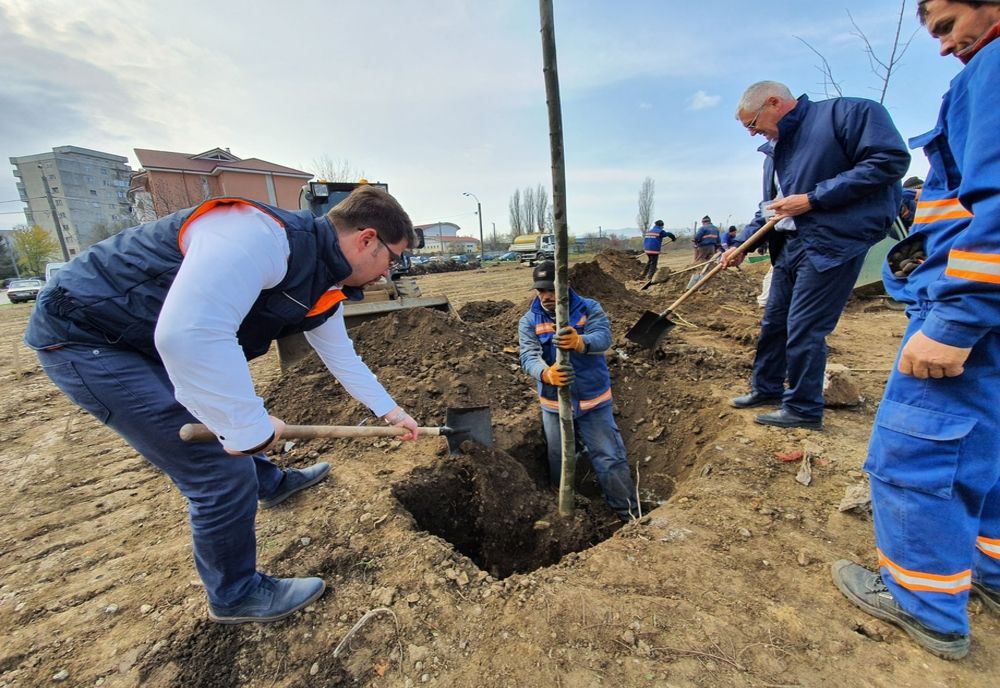 O gură de oxigen pentru Bacău: orașul va înverzi