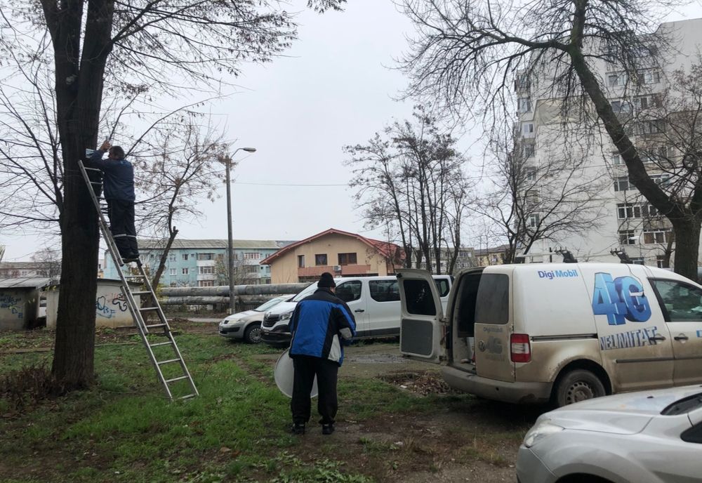 De tot râsul! Antenă parabolică, montată în...copac